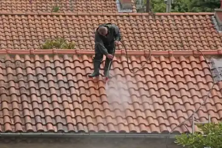 Nettoyage et démoussage de toiture à Saint-Macaire à Saint-Macaire